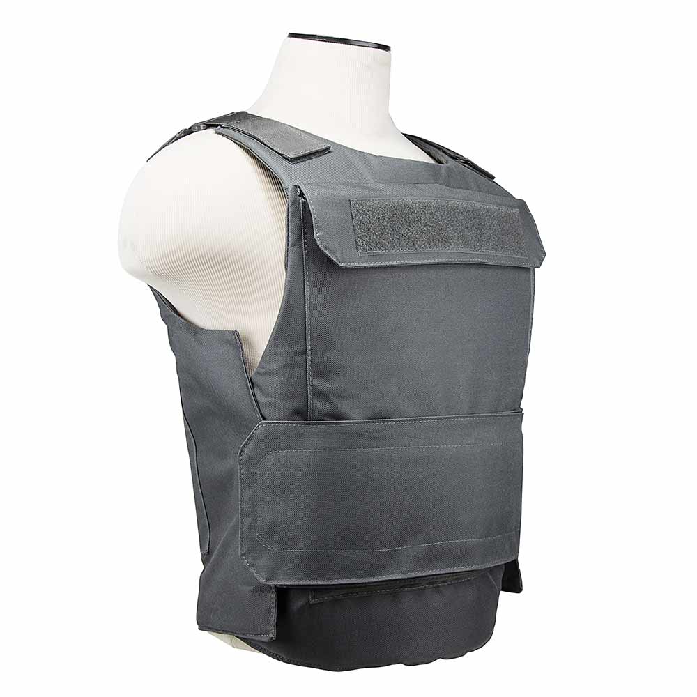 Discreet Plate Carrier