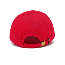 Load image into Gallery viewer, Trump won. Low Dad Cap - Red
